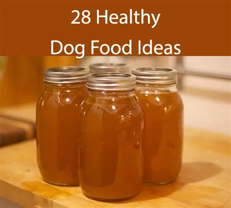 28 Dog Food Recipes - Using Natural Healthy Ingredients