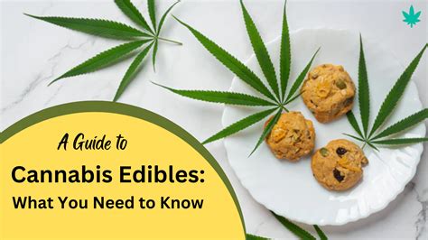 A Guide To Cannabis Edibles What You Need To Know