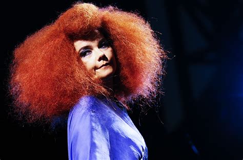 Bjork Shares Details on New Album 'Vulnicura'