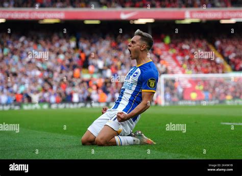 Brighton And Hove Albions Leandro Trossard Celebrates Scoring Their