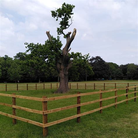 Oak Tree War Memorial Park A J Paxton Cc By Sa Geograph