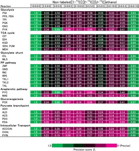 C Metabolic Flux Analysis Of Ethanol Assimilating Saccharomyces