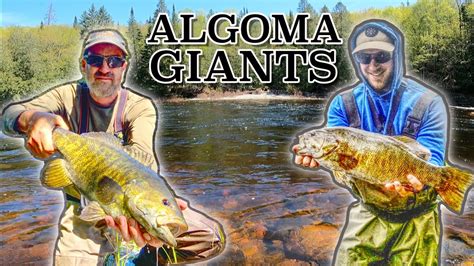 Bass And Walleye Bonanza In Lake Superior Country Youtube