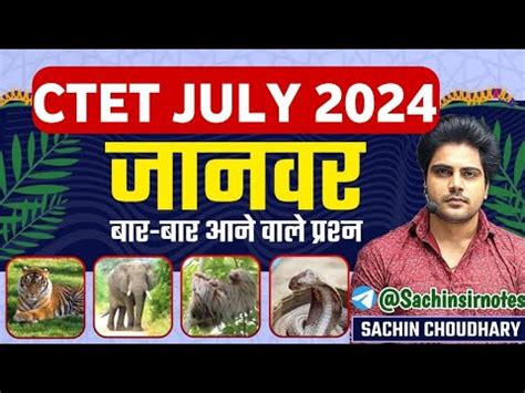 CTET 2024 EVS By Sachin Choudhary Sir YouTube