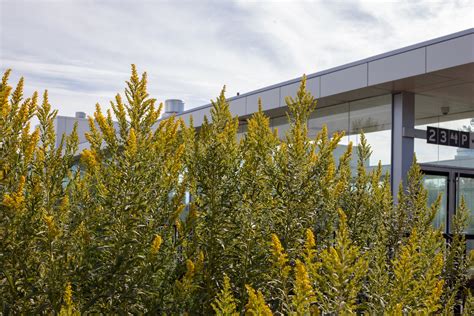 Elias + Landscape Architects and RDH Architects: Guildwood GO Station