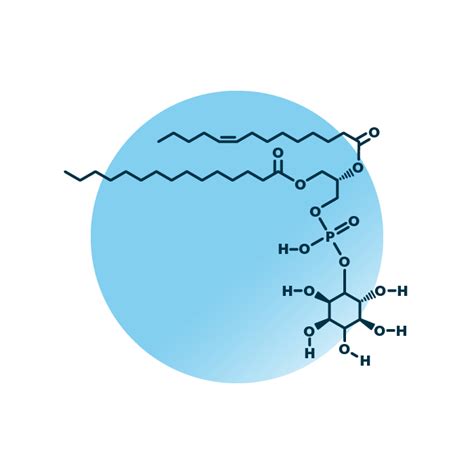 Phosphatidyl-inositol Analysis | Lipid Analysis | Lipotype GmbH