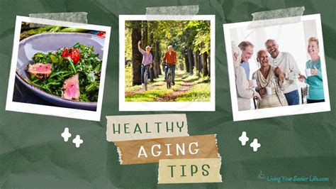 10 Healthy Aging Tips Strategies For Longevity Vitality