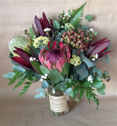 Australian South African Native Flowers Protea Banksia Berzelia