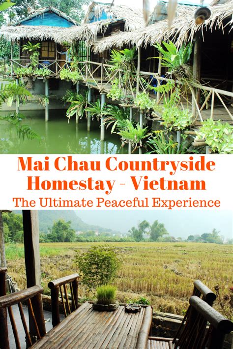 This Mai Chau Homestay Offers the Ultimate Peaceful Experience - Fiona ...