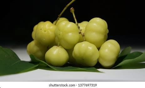 Cermai Fruit Leaves Stock Photo 1377697319 | Shutterstock