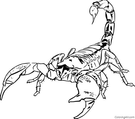 Emperor Scorpion Image Coloring Pages Coloring Cool