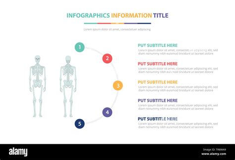 Human Infographic Template