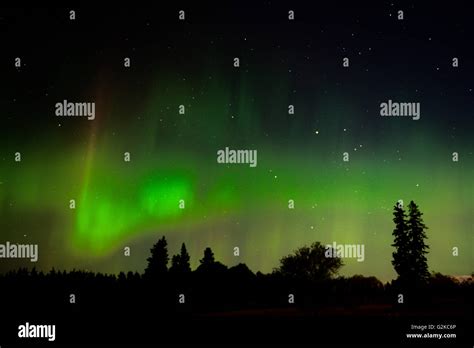 Northern Lights Aurora Borealis Display Birds Hill Provincial Park