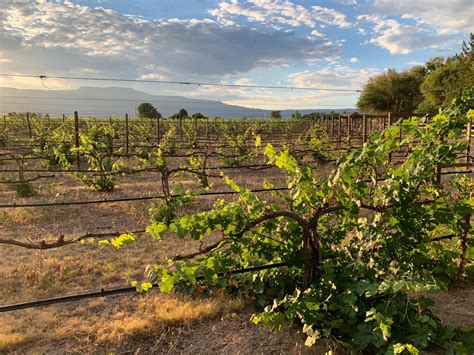 The Cost of Wine Tasting in Palisade, Colorado - Married with Wanderlust