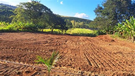 Fazenda S Tio Na Avenida Governador Roberto Da Silveira Barra Funda Em