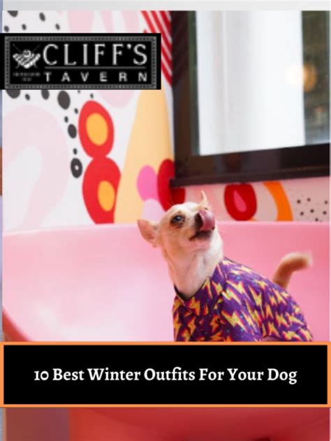 10 Best Winter Outfits For Your Dog - Cliffs Tavern