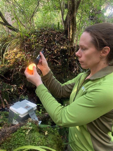 Kākāpō breeding - behind the scenes | Conservation blog