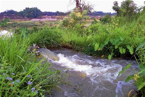 Agriculture in Bangladesh – HiSoUR – Hi So You Are