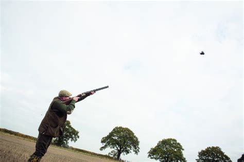 Pheasant Shooting Tips How To Improve Your Technique ShootingUK