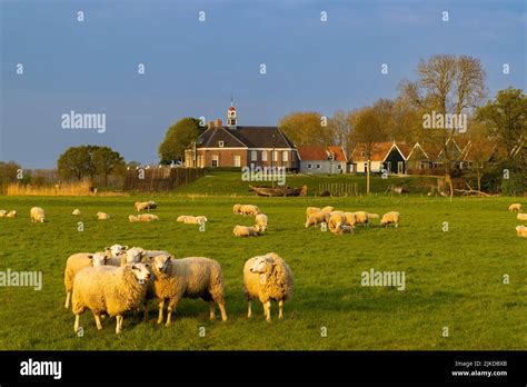 Former Island Of Schokland Unesco World Heritage Site Netherlands