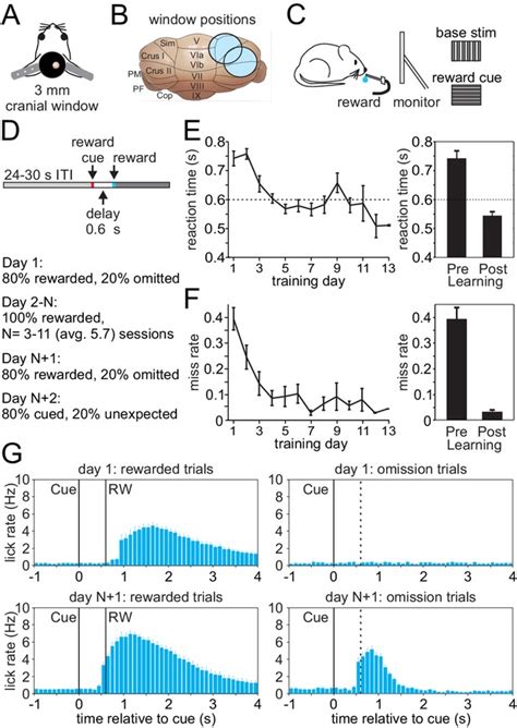 Figures And Data In Classical Conditioning Drives Learned Reward