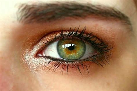 Fatos Sobre Olhos Verdes A Cor De Olhos Mais Rara Do Mundo