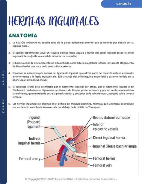 Hernias Inguinales Christian Borda Udocz