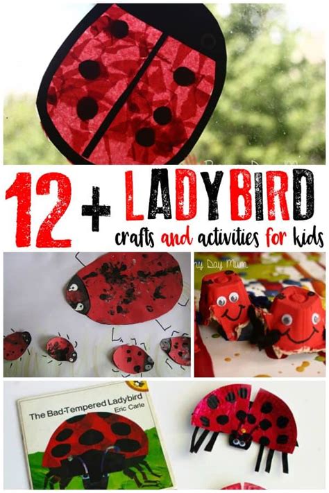 Fun Ladybird Crafts and Activities for Kids