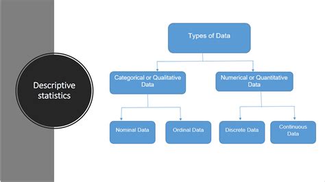 Types And Scales Of Data In Descriptive Statistics By Manoj Singh