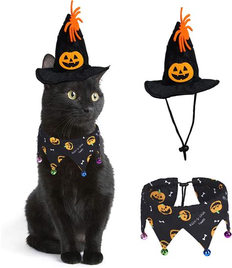 13 Best Halloween Costumes for Cats [Safe & Easy to Wear]