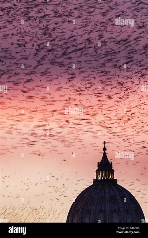 Italy Lazio Rome Flock Of Birds In The Sky Stock Photo Alamy