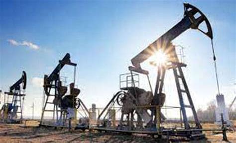 Global E P Firms Refrain From Bidding For Oil Gas Blocks