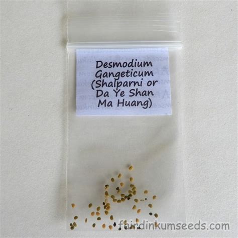 Shalparni Desmodium Gangeticum Da Ye Shan Ma Huang Seeds Fair Dinkum