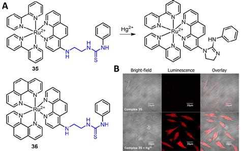 Molecular Structure Of Ru II Complexes 35 And 36 And The Reaction Of