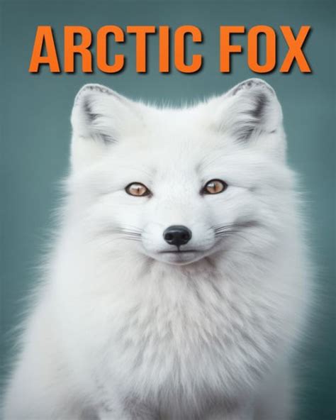 Arctic Fox Fun Facts Book For Kids With Amazing Photos By Flora