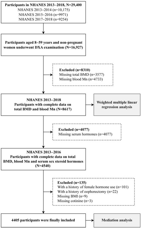 The Role Of Sex Steroid Hormones In The Association Between Manganese