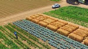 Revolutionizing Farming: Trends in Agricultural Biologicals