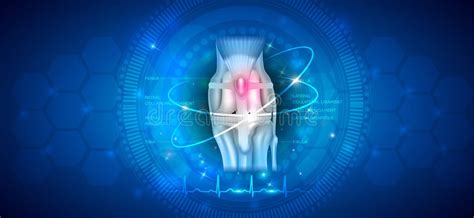 Dog Knee Anatomy Stock Illustrations 845 Dog Knee Anatomy Stock