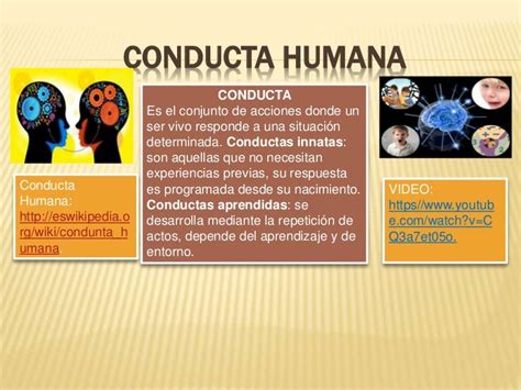 Conducta Humana