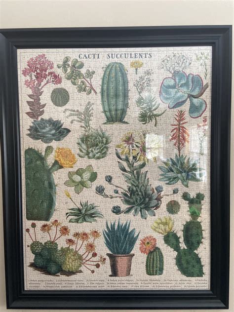 Cacti Succulents Cavallini Co Pc R Jigsawpuzzles