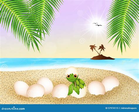 Sea Turtle Eggs on the Beach Stock Illustration - Illustration of ...