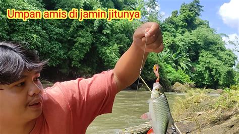 Baru Di Lempar Langsung Di Sambar Tawes Sirip Merah Tawes Babon Umpan