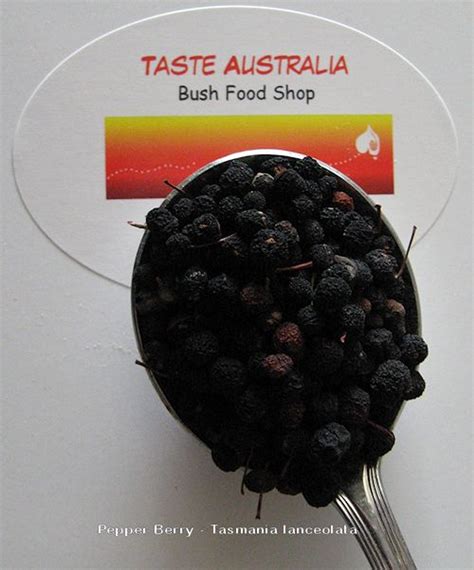 Taste Australia Bush Food Shop Discover Australia Through Food