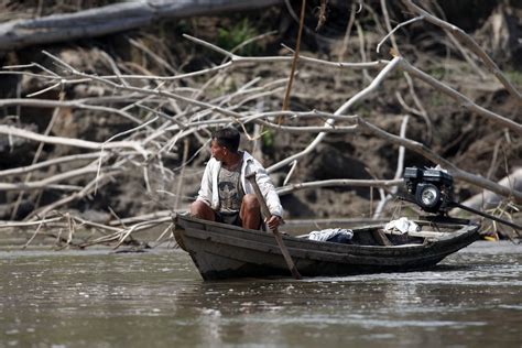 Amazonía comunidades nativas y fauna silvestre sufren por sequía y las