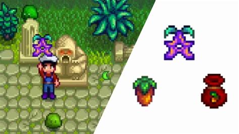 Rare Seed Stardew Valley Guide - SDew HQ