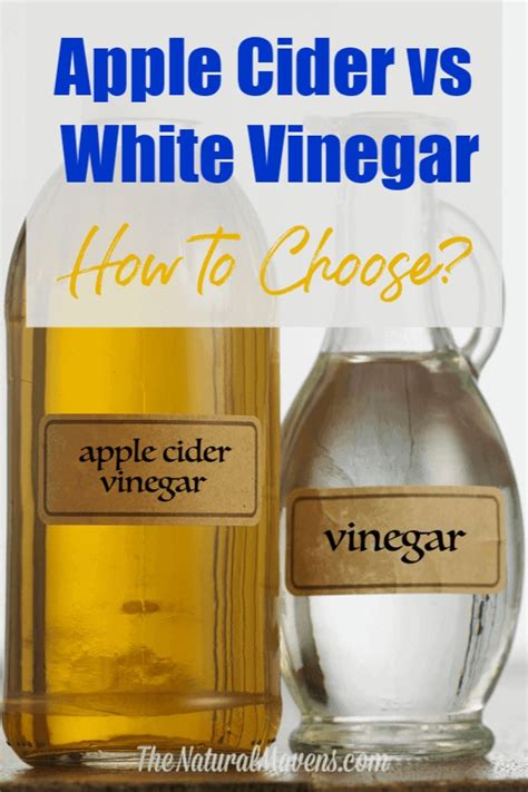 Apple Cider Vinegar Vs White Vinegar How To Choose