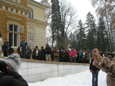 Zeci De Colindatori Au Ajuns Azi La Castelul De La Savarsin Masa