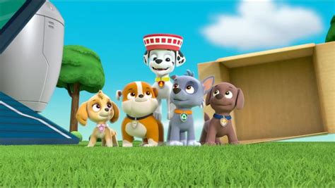 Rockys Gallery Mission Paw Quest For The Crown Paw Patrol Cast Wiki