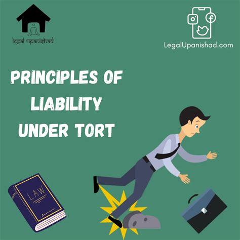 Principles Of Liability Under Tort All You Should Know