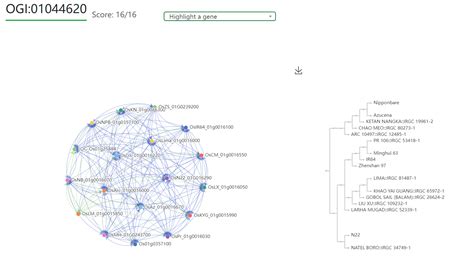 Rice Gene Index Rgi A Comprehensive Pan Genome Database For